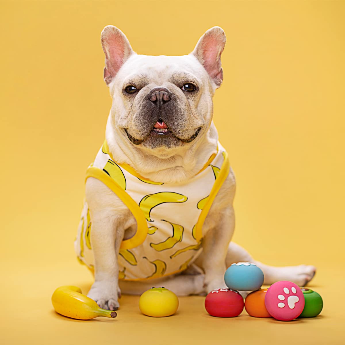 **Durable Squeaky Dog Toys for Small Dogs & Puppies – Soft Latex Rubber Chew Ball with Funny Face, Bouncing & Squeaking Fun – Perfect for Indoor Play, Training & Teething Relief**
