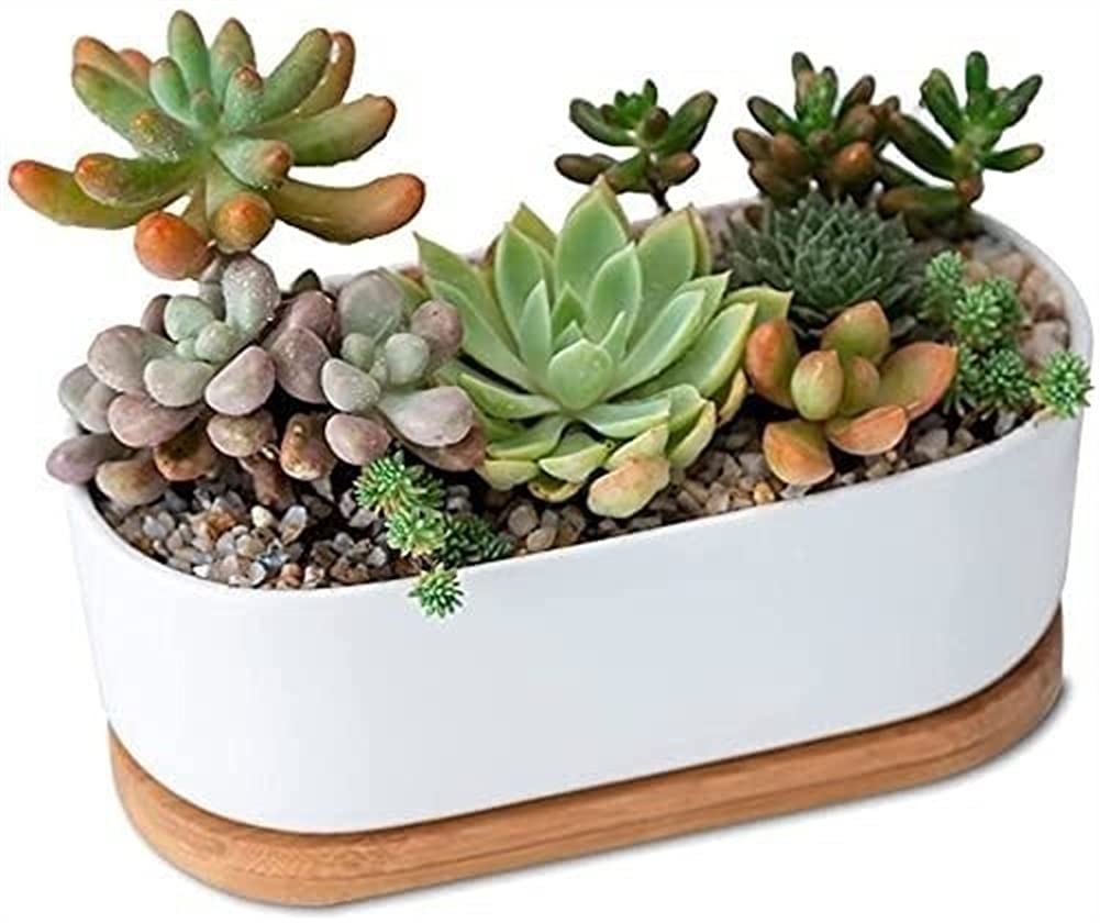 UimimiU Ceramic Succulent Planter with Bamboo Tray - Rectangular Flower Pot for Orchids, Cactus & Mini Plants - Indoor/Outdoor Decorative Planter for Home, Office & Garden Gifts