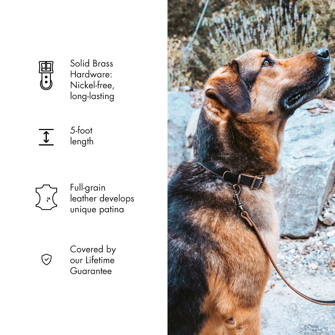 Premium Genuine Leather Dog Leash - Durable & Adjustable Pet Walking Lead for Small Medium Large Dogs - Perfect for Daily Walks, Training & Outdoor Adventures