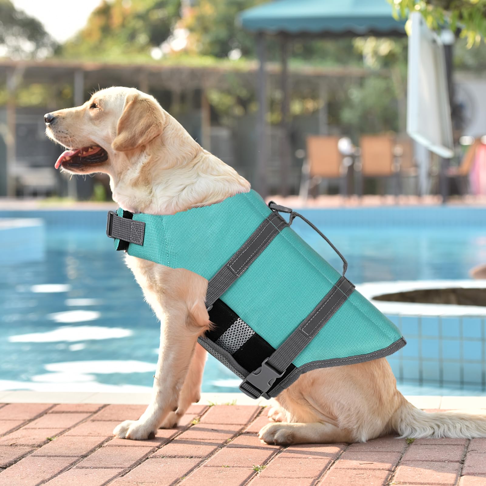 Doglay Adjustable Dog Life Jacket for Swimming & Boating - Reflective Buoyancy Vest for Small, Medium & Large Dogs | Perfect for Pool, Beach & Water Sports Safety