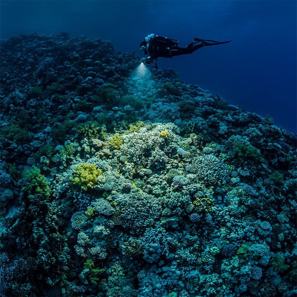 SEALIFE Micro 3.0 Pro Underwater Camera with Sea Dragon 3000SF Dual Beam LED Light - 3000 Lumens for Scuba Diving, Snorkeling & Marine Photography (Video & Photo)