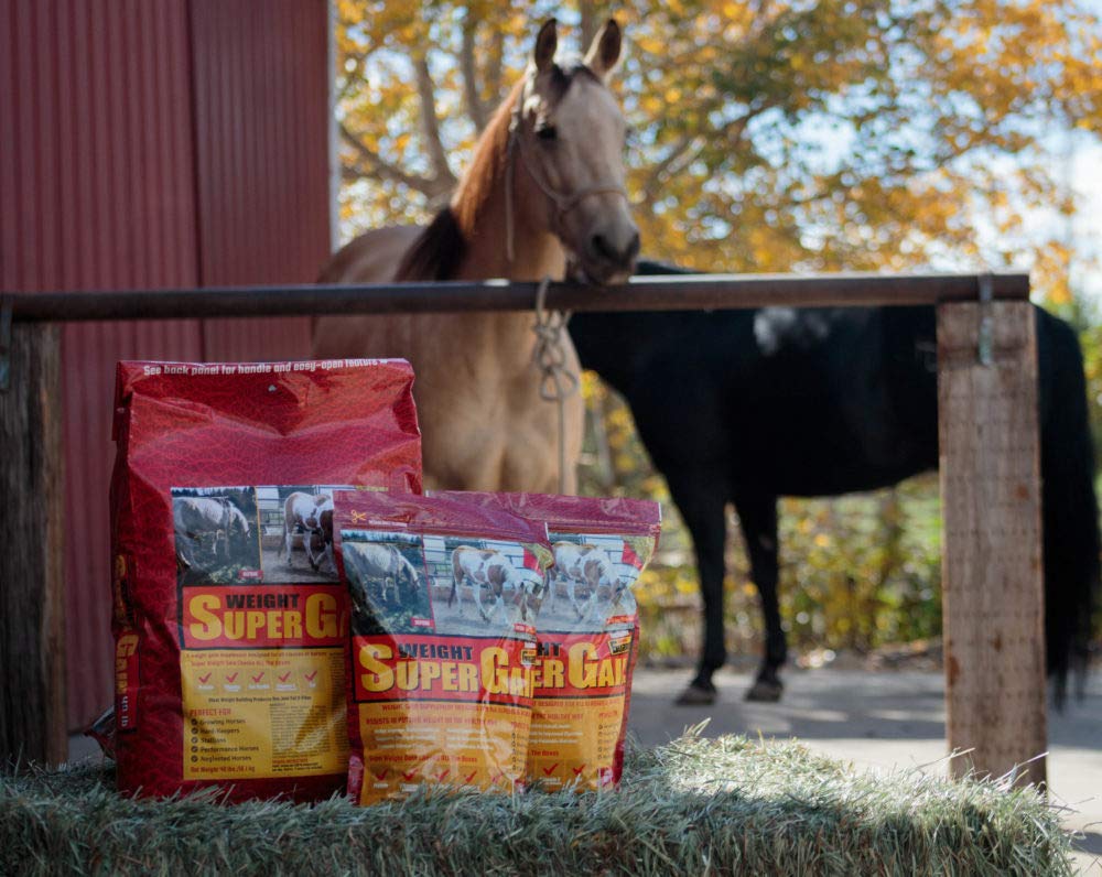 Horse Guard Super Weight Gain 40 lb - High Protein Equine Vitamin & Mineral Supplement with Probiotics for Horses - Promotes Muscle Growth & Healthy Digestion - Ideal for Underweight, Performance & Senior Horses