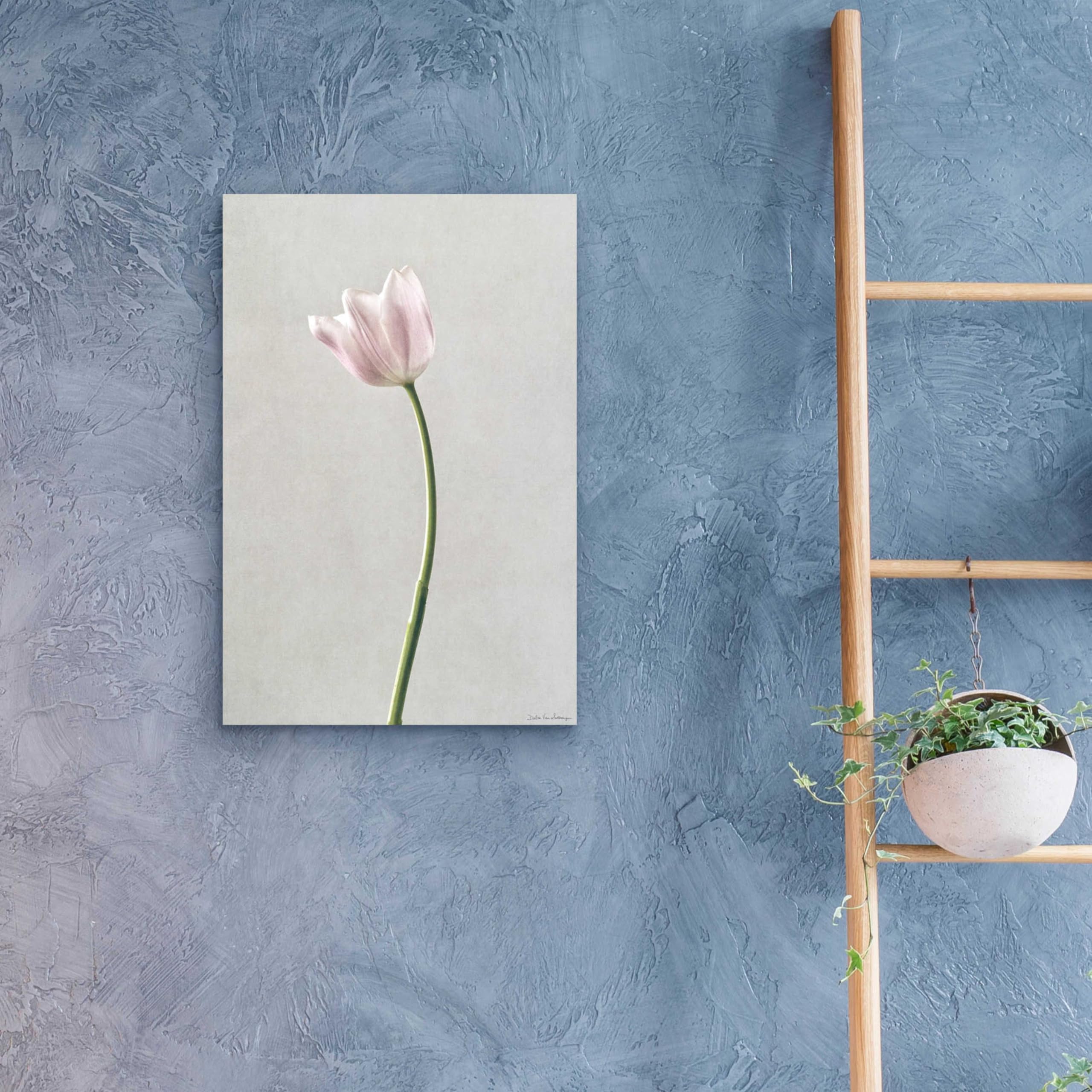 Light Tulips I Acrylic Glass Wall Art by Debra Van Swearingen - 16x24 Inches Modern Floral Painting for Living Room, Bedroom & Office Decor