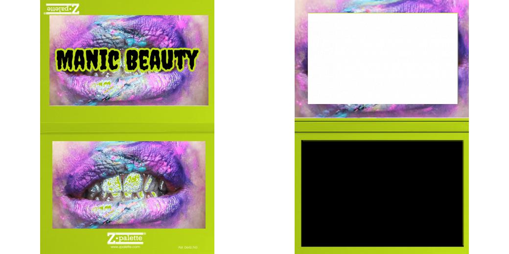 Custom Junior Z Palette - Magnetic Makeup Palette for Eyeshadows & Blush - Perfect for Travel & Professional Makeup Artists