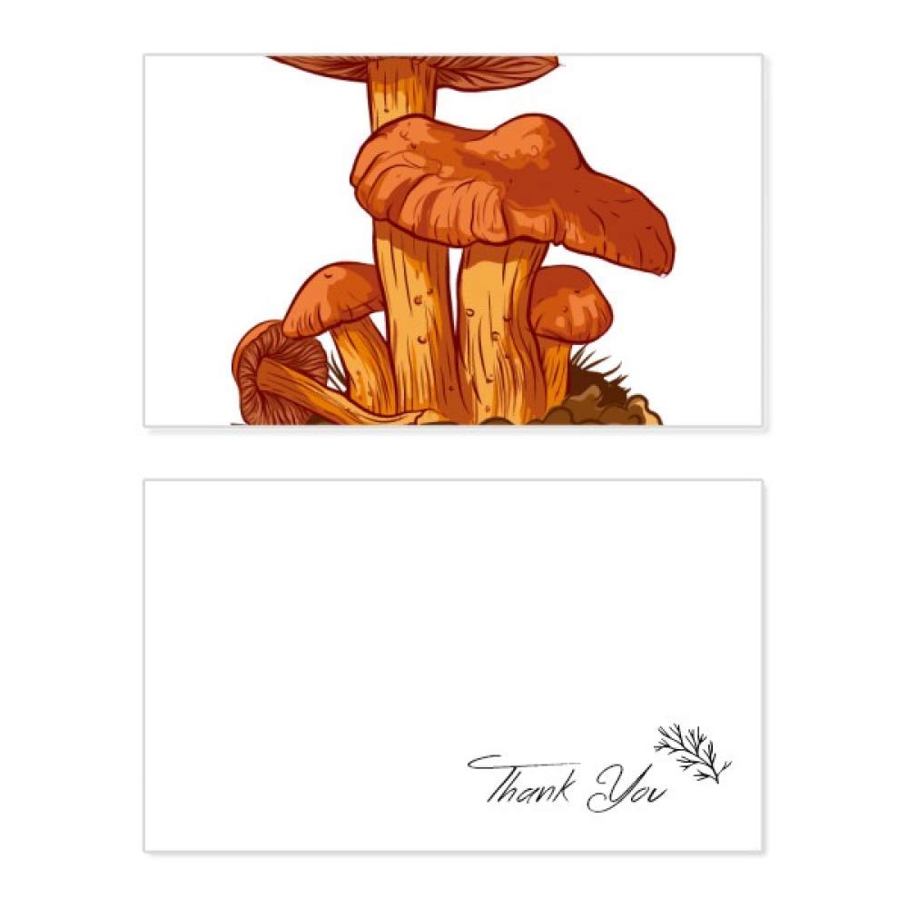 Whimsical Orange Mushroom Creature Thank You Cards - Set of 10 for Birthdays, Weddings & Business - Cute Hand-Drawn Illustration Greeting Cards for Special Occasions & Appreciation Gifts
