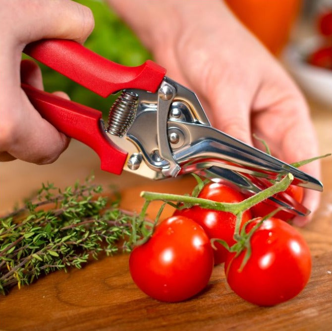 Kuhn Rikon Classic Kitchen Scissors - Heavy Duty Stainless Steel Cooking Shears for Herbs, Poultry, and Food Prep - Perfect for Home Chefs and Professional Kitchens