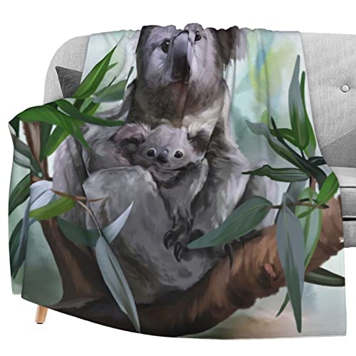 Koalas