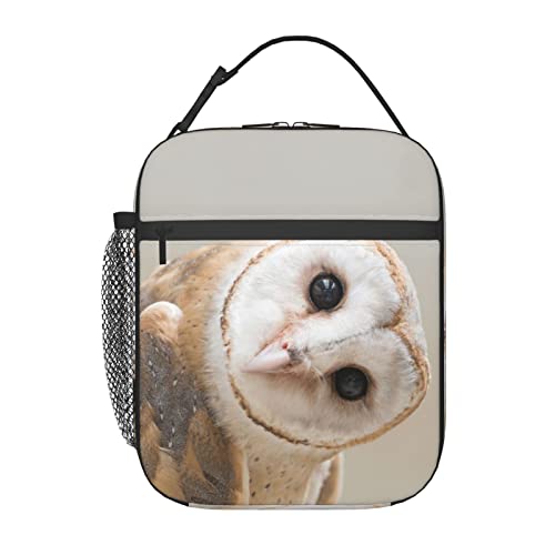 Owl 18
