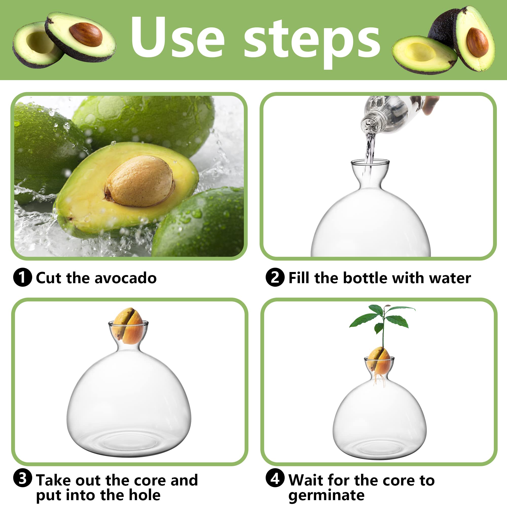 Avocado Tree Growing Kit - Glass Seed Starter Vase with Avocado Stickers | Indoor Gardening Gift Set for Home, Office & Kitchen Decor | Perfect for Plant Lovers & Sustainable Living