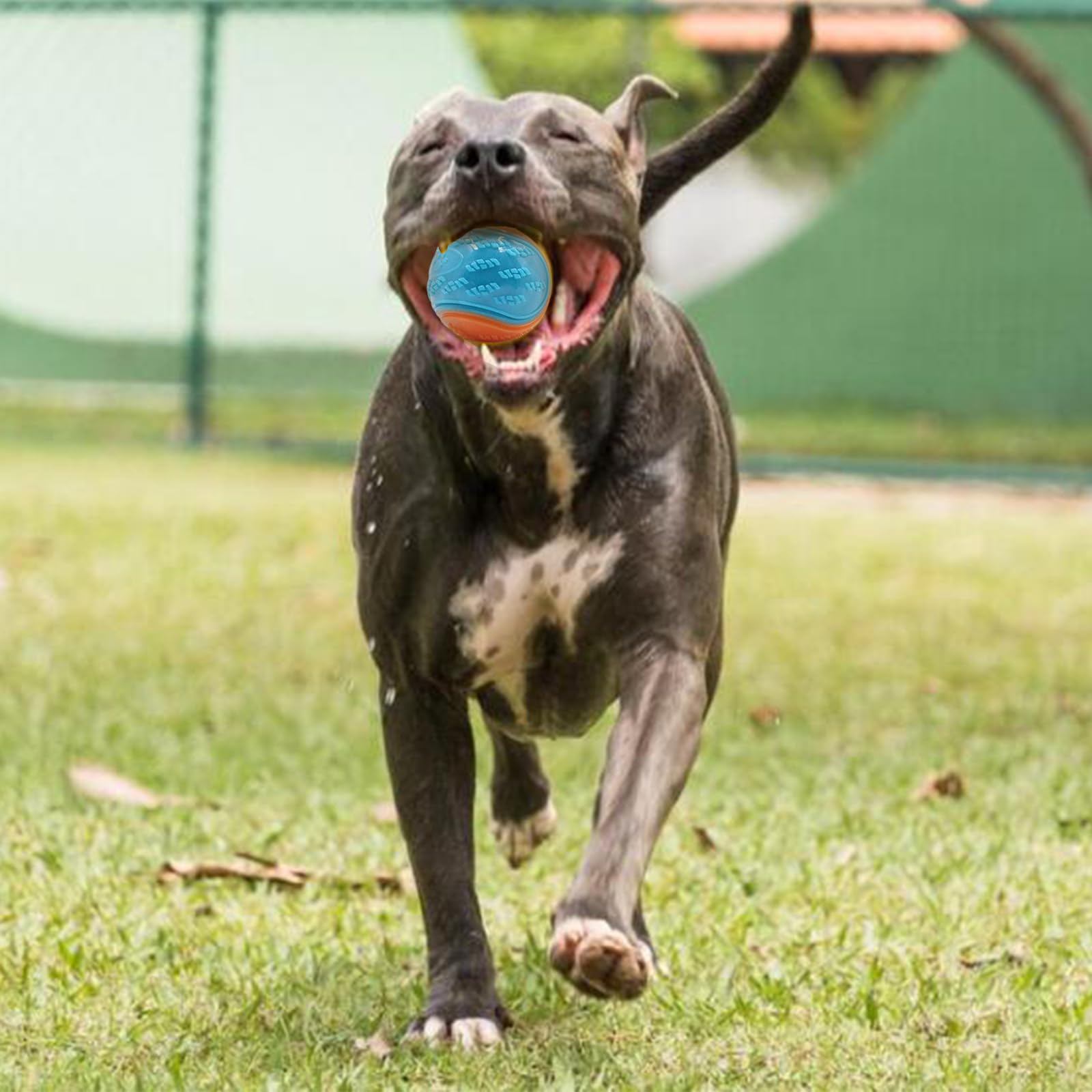Irunfast 6 Pack Dog Chew Toys - Durable Squeaky Balls for Puppy Teeth Cleaning, Interactive Pet Training & Playtime | Indestructible Dog Ball for Fetch, Tug of War & Outdoor Activities