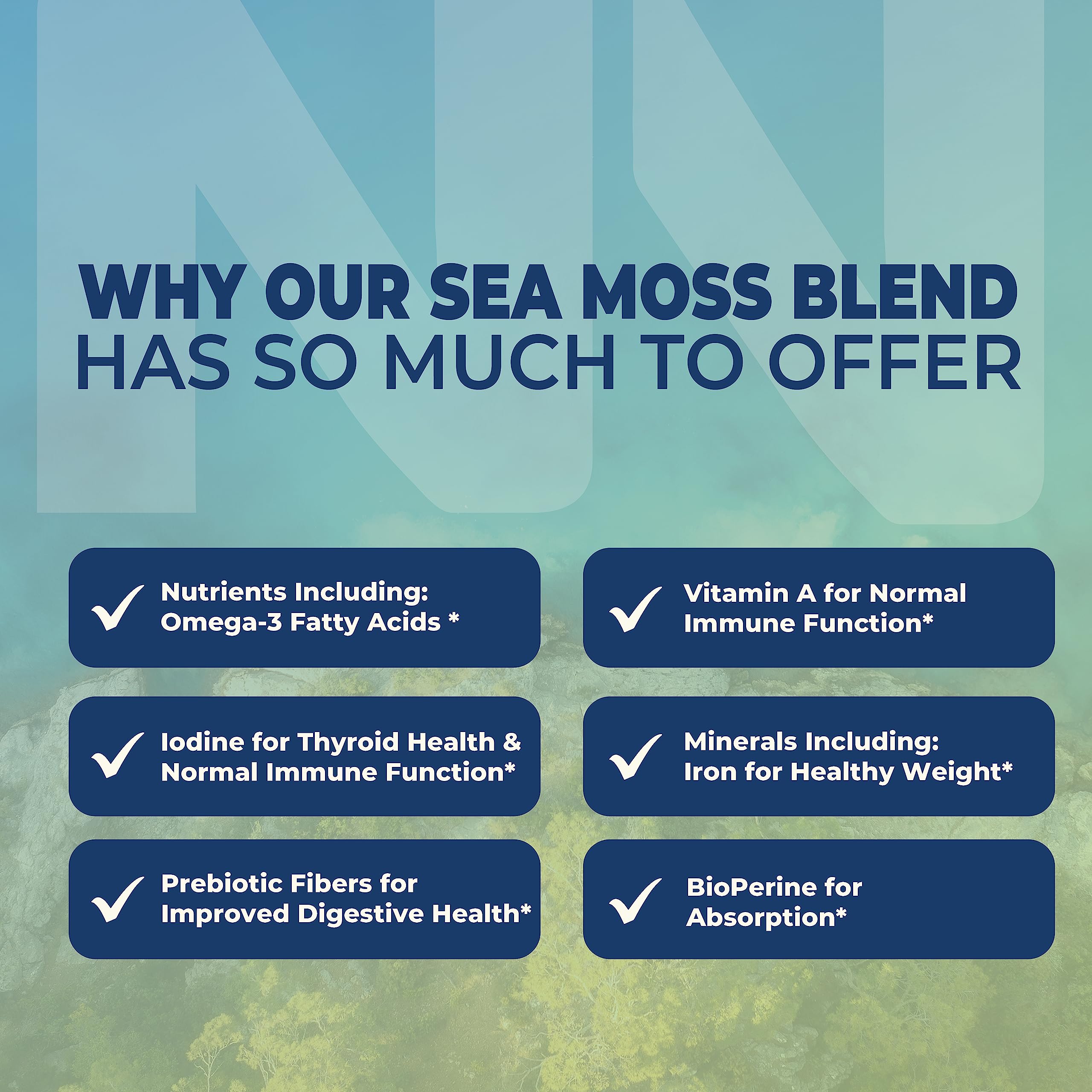 Organic Irish Sea Moss Capsules with Burdock Root & Bladderwrack Powder - 1300mg Thyroid & Immune Support Complex (90 Veggie Pills, 45-Day Supply) | Rich in Iodine for Energy, Metabolism & Detox | Perfect for Daily Wellness & Holistic Health Routines