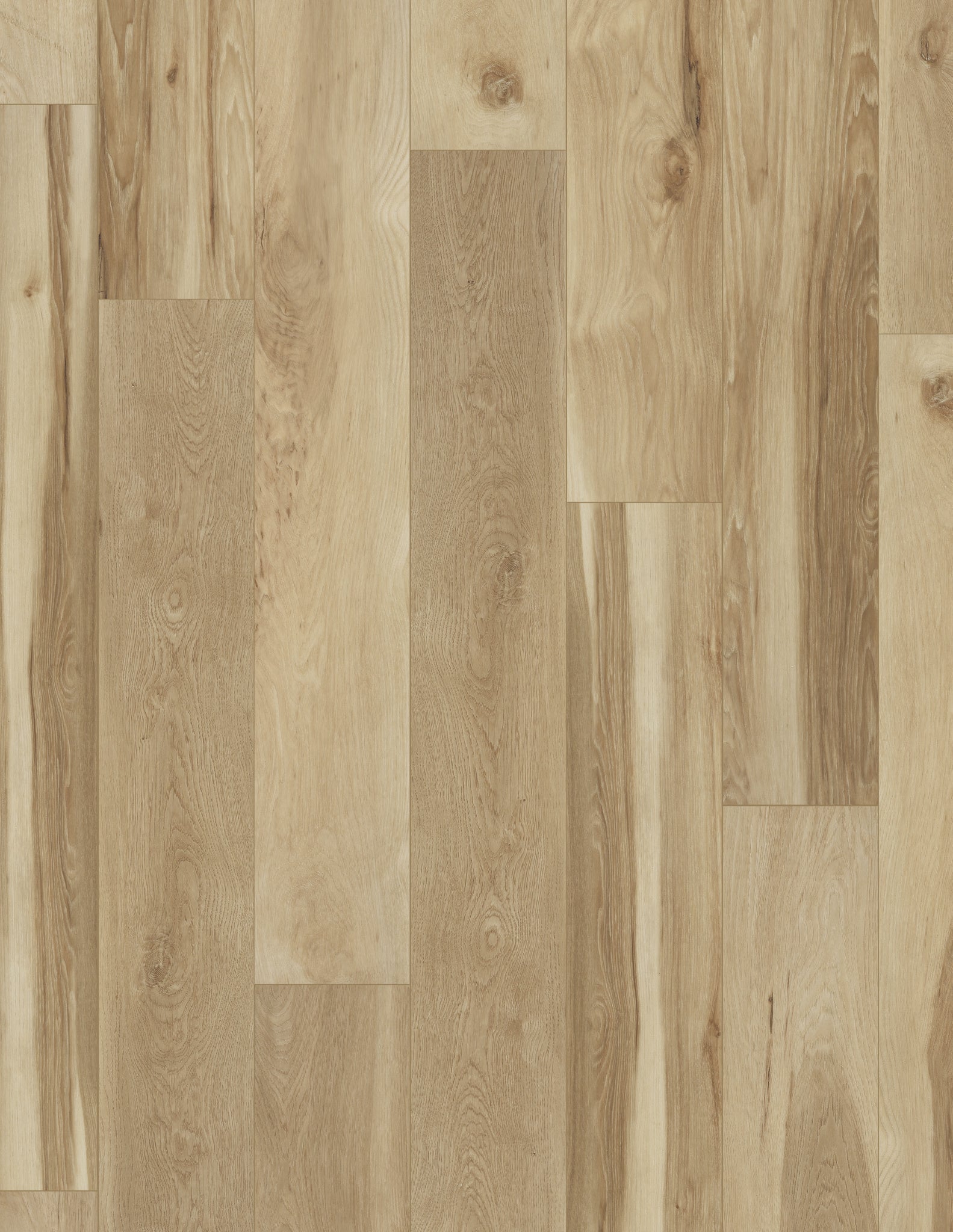 Coretec Plus HD Integrated Bevel Blended Praline 7x48 Waterproof Luxury Vinyl Plank Flooring - Perfect for Living Rooms, Kitchens & Basements