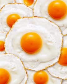 Egg Pattern