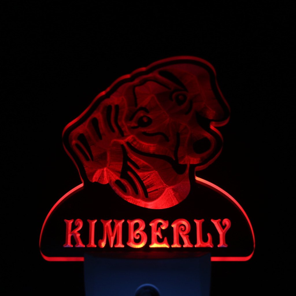 ADVPRO ws1065-tm Personalized Dachshund Dog Night Light with Name - LED Pet Sign with Day/Night Sensor - Perfect for Bedroom, Nursery & Pet Lover Gifts