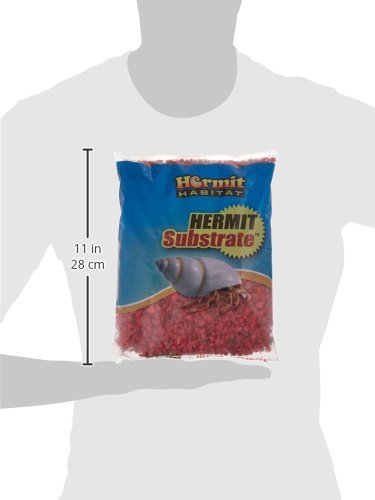 Neon Pink Terrarium Substrate - 5 lb Premium Drainage Layer for Succulents, Cacti & Reptile Tanks - Ideal for DIY Fairy Gardens & Miniature Landscapes