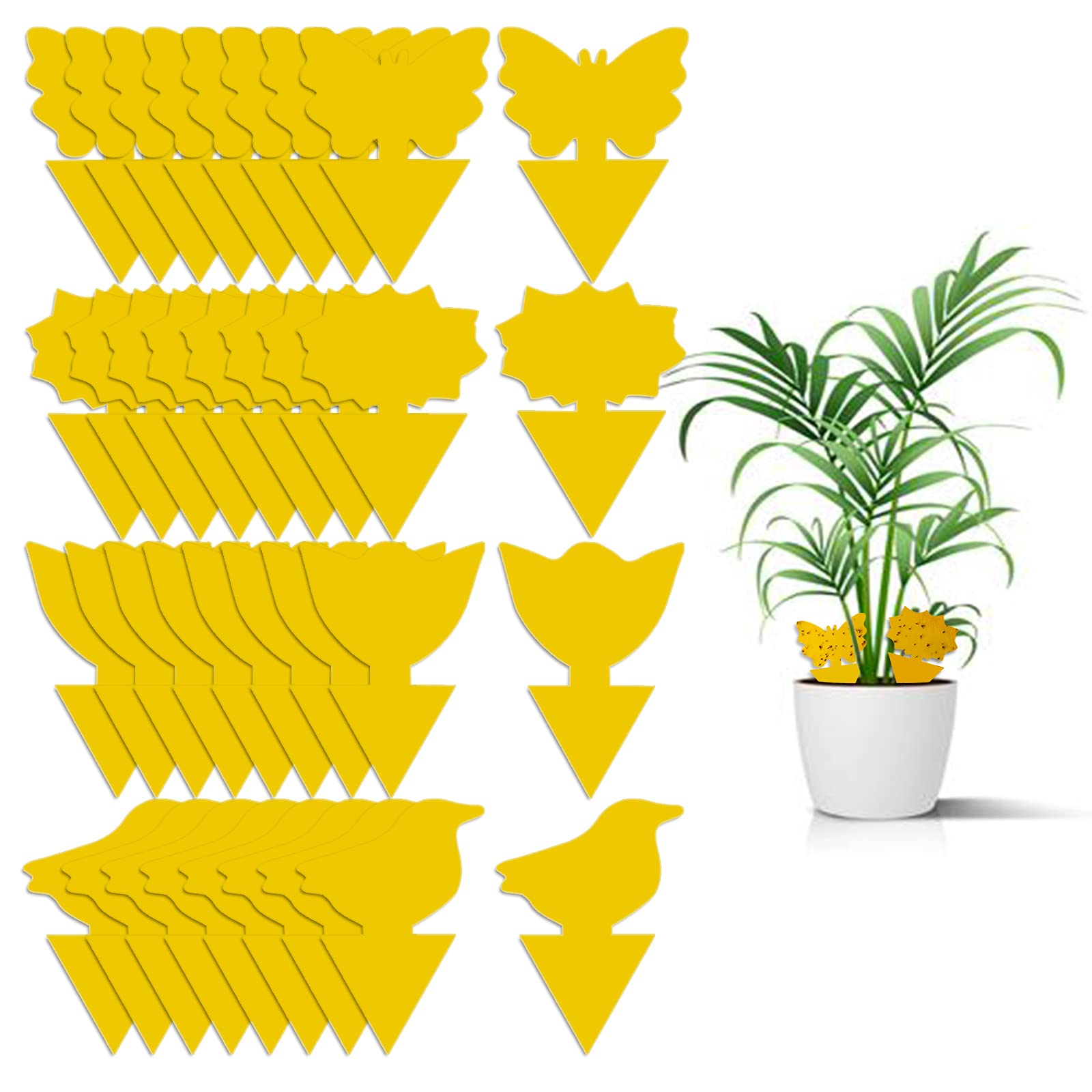36 Pack Yellow Sticky Traps for House Plants - Fungus Gnat Killer, Whitefly & Mosquito Control - Indoor/Outdoor Plant Protection Against Thrips, Leafminers & Flying Insects (Great for Greenhouses, Gardens & Potted Plants)
