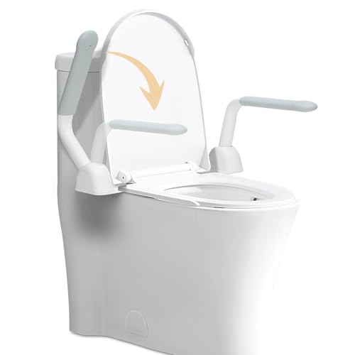Toilet Safety Rail Ash Gray