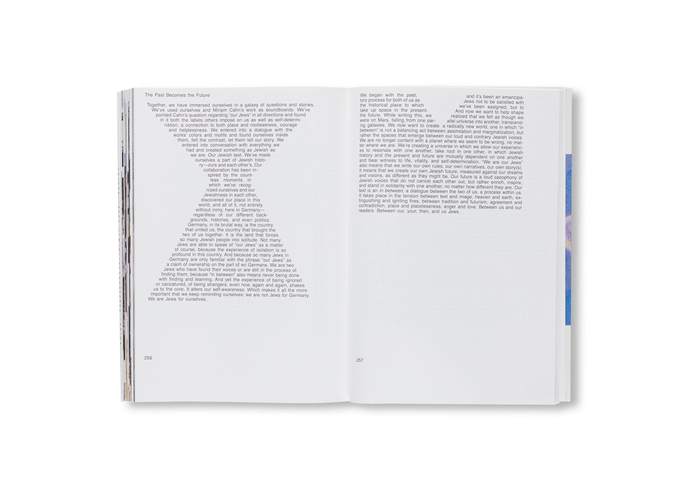 MEINEJUDEN by Miriam Cahn - Contemporary Art Book Collection | Jewish Art & Culture Exploration | Perfect for Art Lovers, Collectors & History Enthusiasts