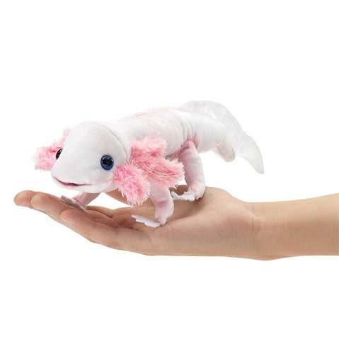 Live Axolotl for Sale - Rare Mexican Walking Fish - Perfect for Aquariums, Science Projects & Exotic Pet Lovers