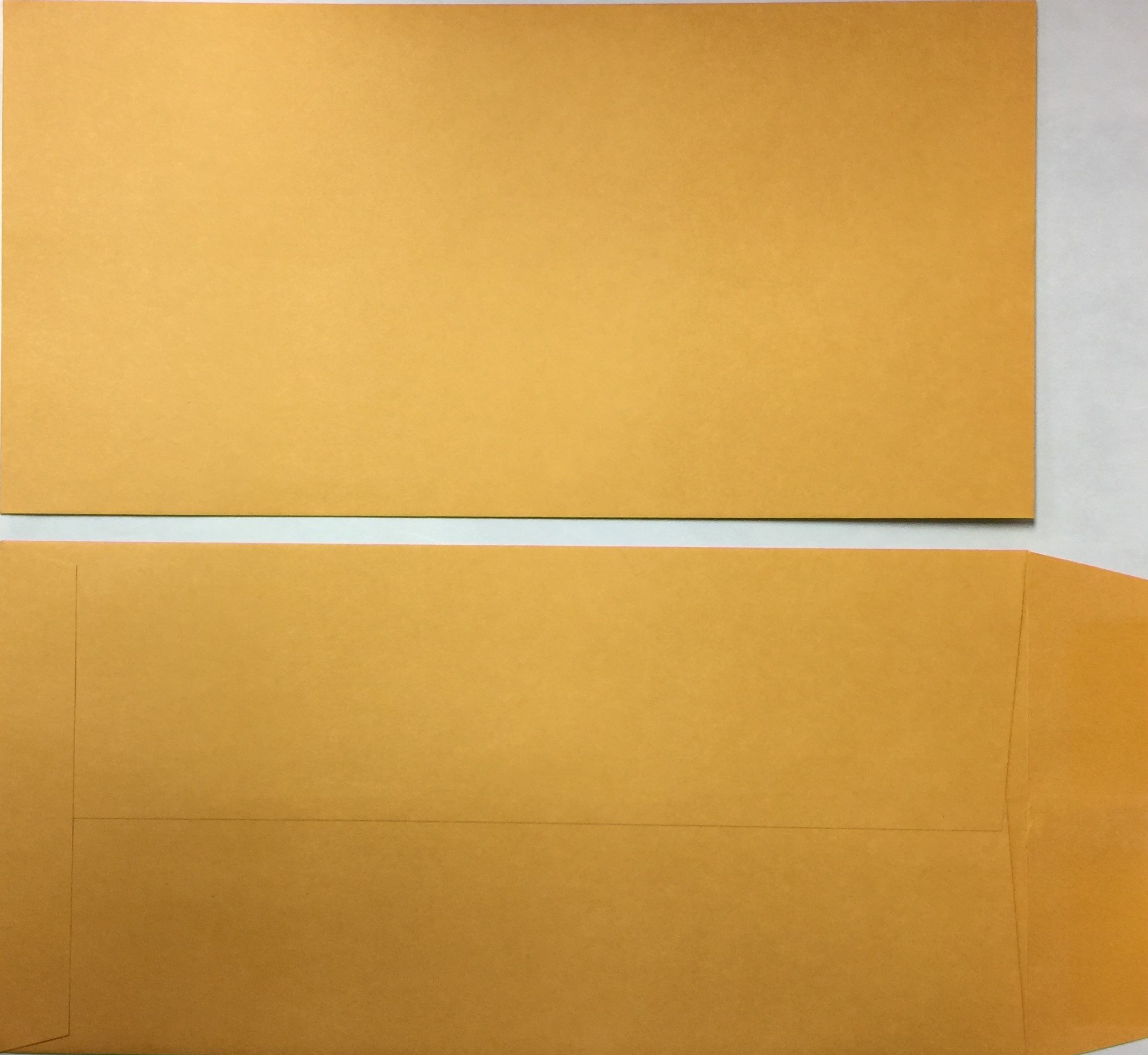 500 Moist & Seal License Plate Envelopes - Waterproof & Durable for Vehicle Registration, Toll Tags & Parking Permits - Perfect for DMV, Car Dealerships & Fleet Management