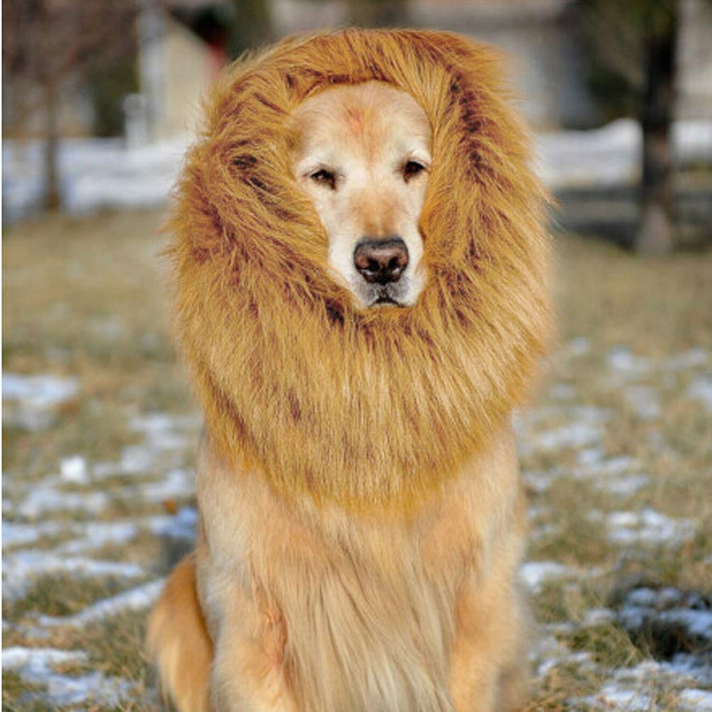 VORCOOL Lion Mane Costume for Small Dogs & Cats - Pet Wig Halloween Costume with Hat & Neck Scarf - Fun Festival Outfit for Dogs, Perfect for Halloween, Parties & Photo Shoots