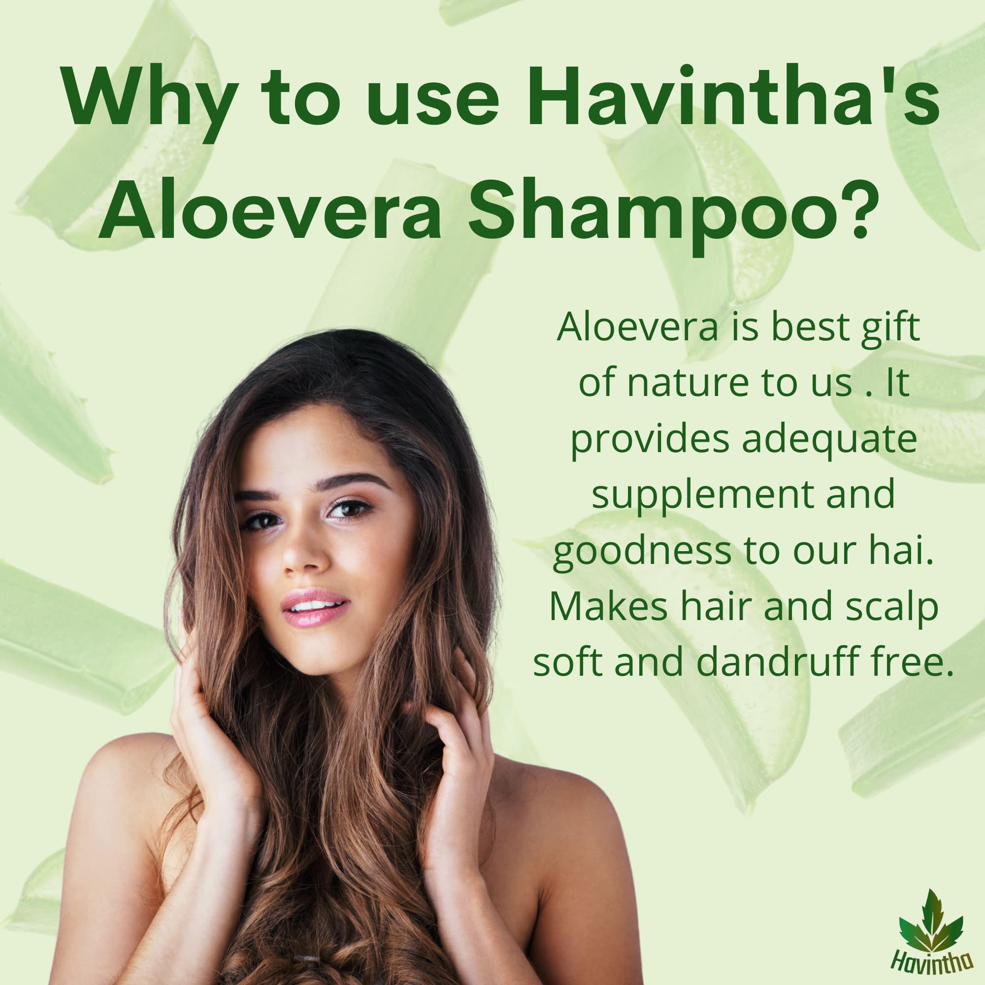 Havintha Natural Herbal Shampoo with Amla, Reetha, Shikakai & Aloe Vera - Sulfate & Paraben Free for Oily Hair Care (8oz) - Gentle Cleansing for Men & Women - Perfect for Daily Use & Scalp Nourishment
