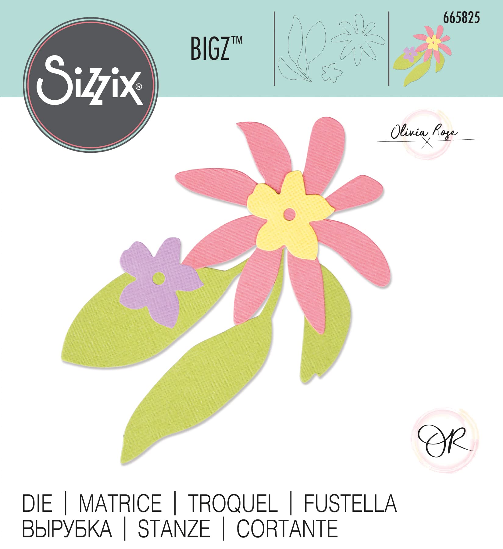 Sizzix Bigz Die - Nordic Flowers by Olivia Rose (665825) | Multicolor Crafting Die for Scrapbooking, Card Making & DIY Projects