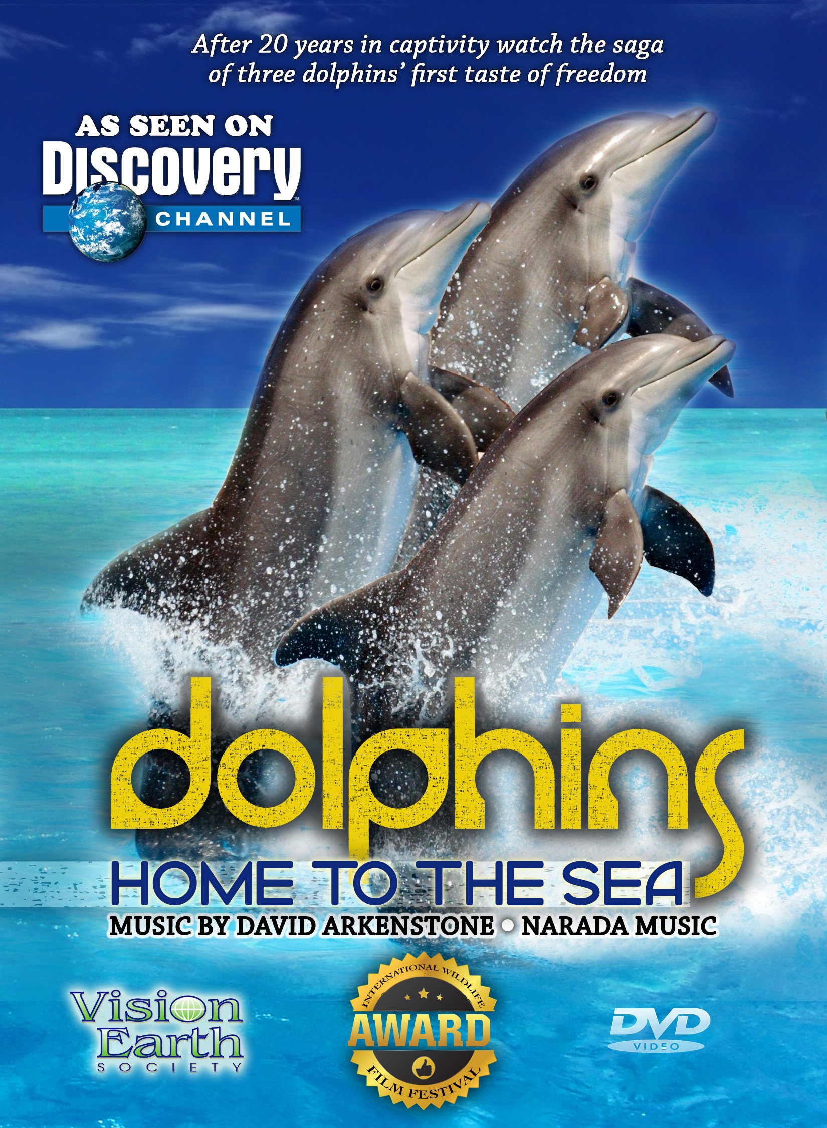 Dolphins Home To The Sea - Premium Marine Animal Decor for Beach House & Ocean Theme Rooms | Perfect for Coastal Living, Aquarium Lovers & Nautical Nursery Decor