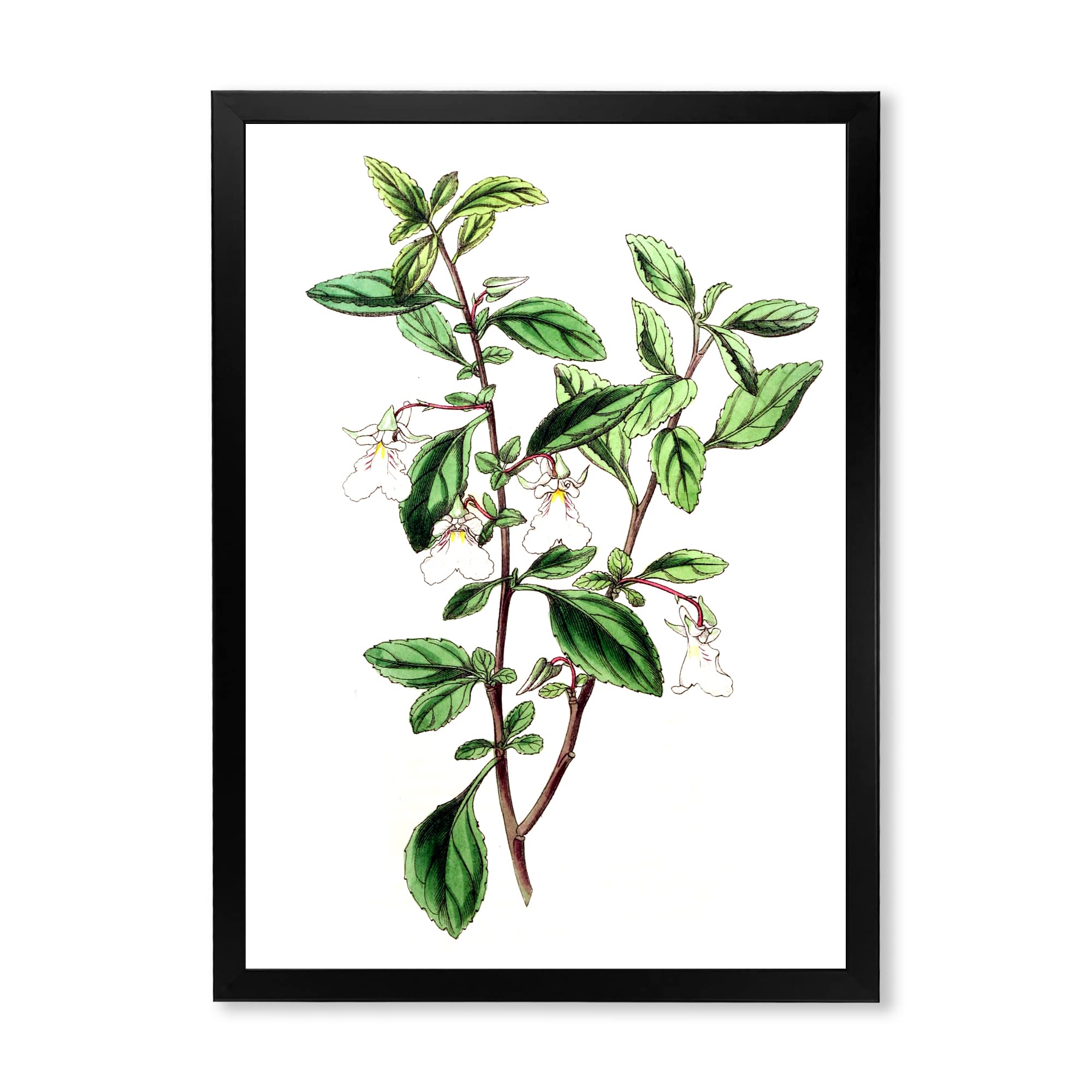 Vintage Green Leaves Botanical Wall Art - Traditional Framed Home Decor for Living Room, Bedroom & Office | Nature Inspired Plant Painting for Interior Design