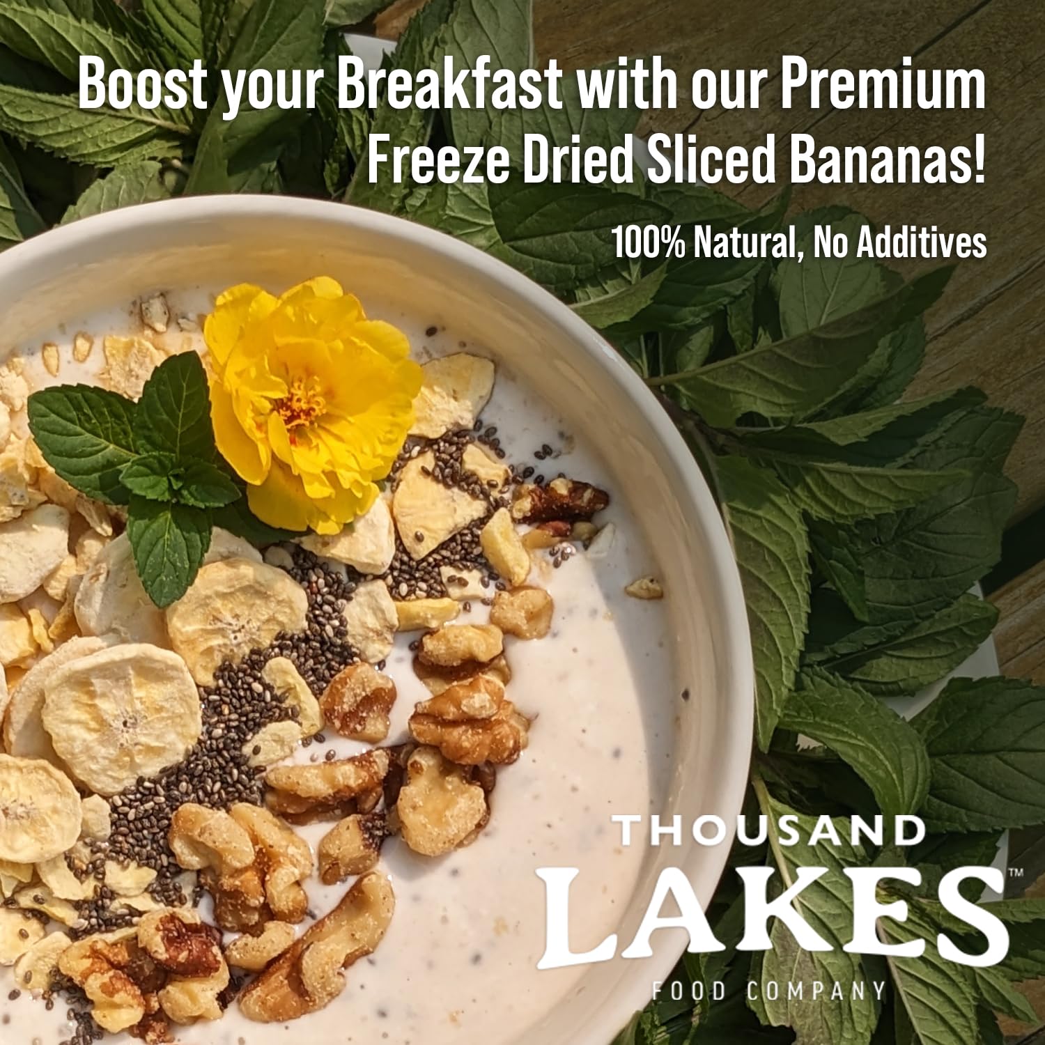 Thousand Lakes Freeze Dried Banana Slices - 2 Pack (3.2oz Each, 6.4oz Total) | No Sugar Added, No Oils, 100% Natural Fruit | Perfect for Smoothies, Baking & Healthy Snacking
