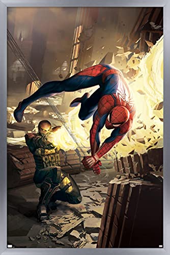 Silver Framed Version