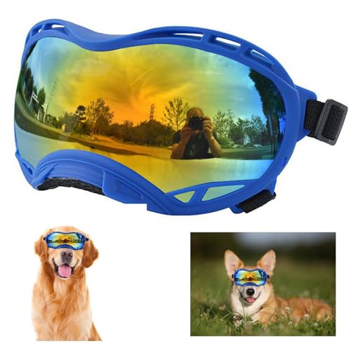 Bule Frame & Colored Lens/Small