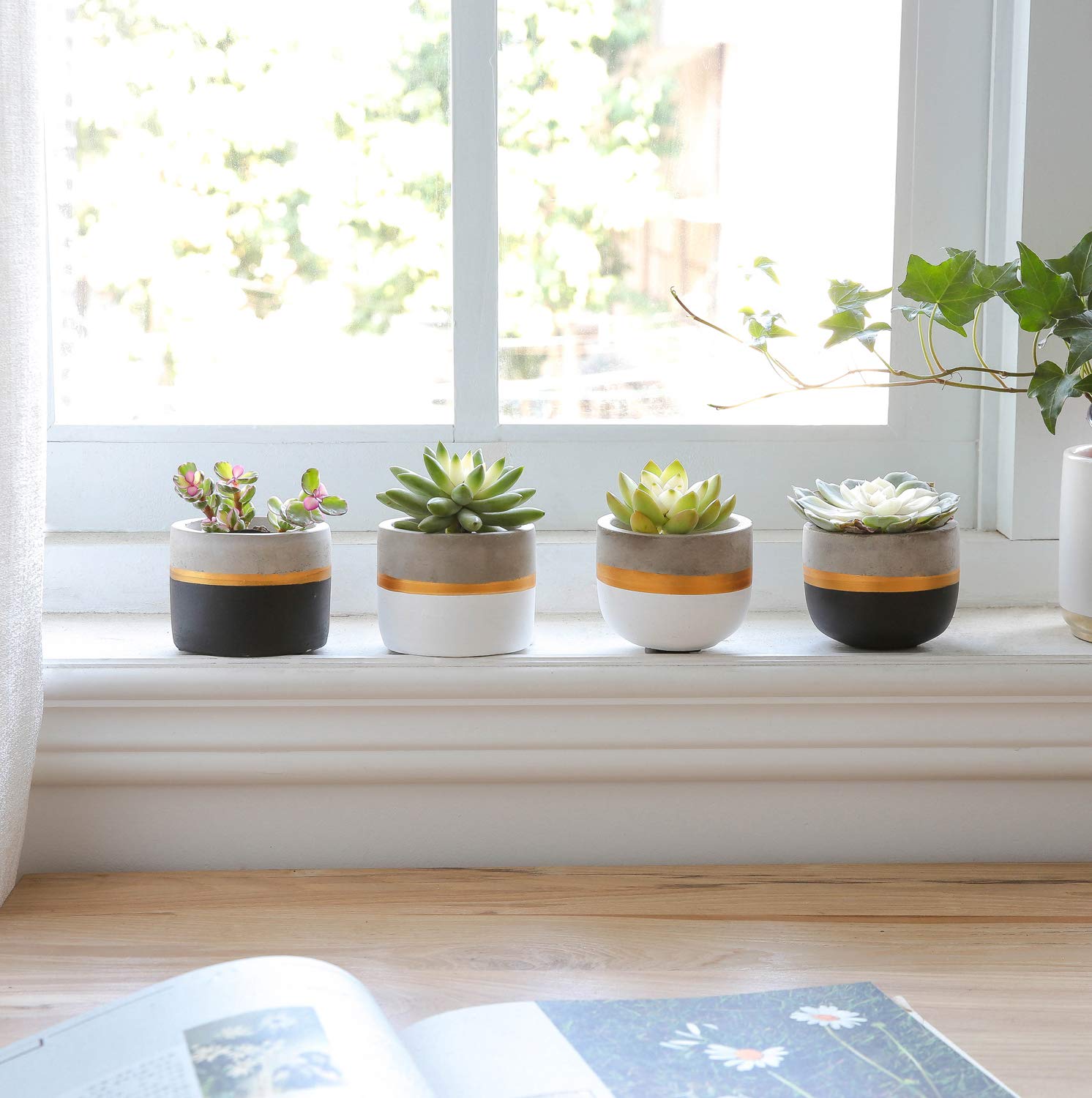 Modern Cement Succulent Planter Set - 3 Pack Small Flower Pots for Indoor Plants, Home & Office Decor (Plants Not Included) - Perfect for Windowsill, Desk, Shelf Display