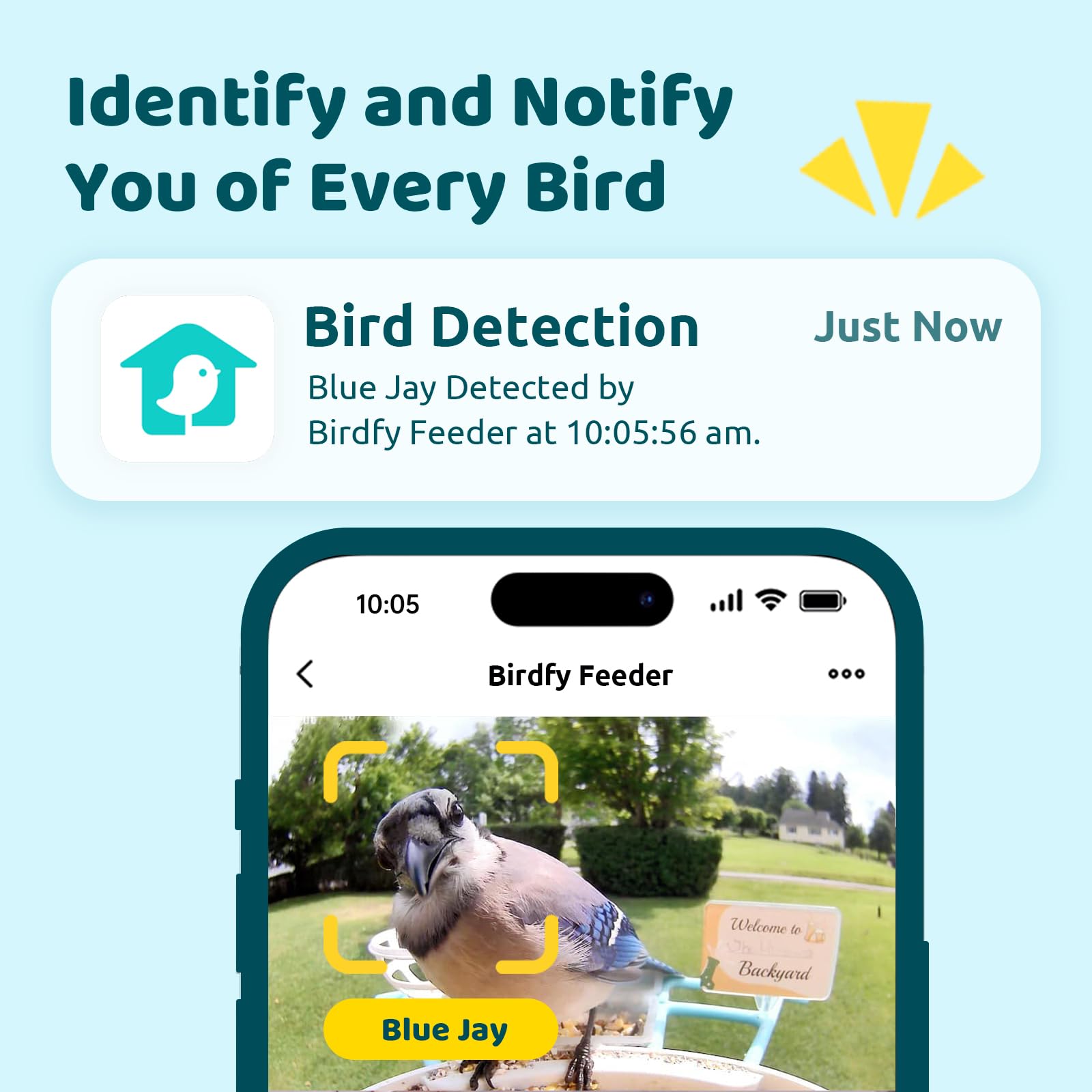 NETVUE by Birdfy Smart Bird Feeder with Camera - Wireless Outdoor Bird Watching Camera with Motion Detection, Auto Video Capture & Instant Alerts - Perfect Gift for Bird Lovers - Ideal for Backyard Birdwatching, Nature Monitoring & Wildlife Photography (Yellow)