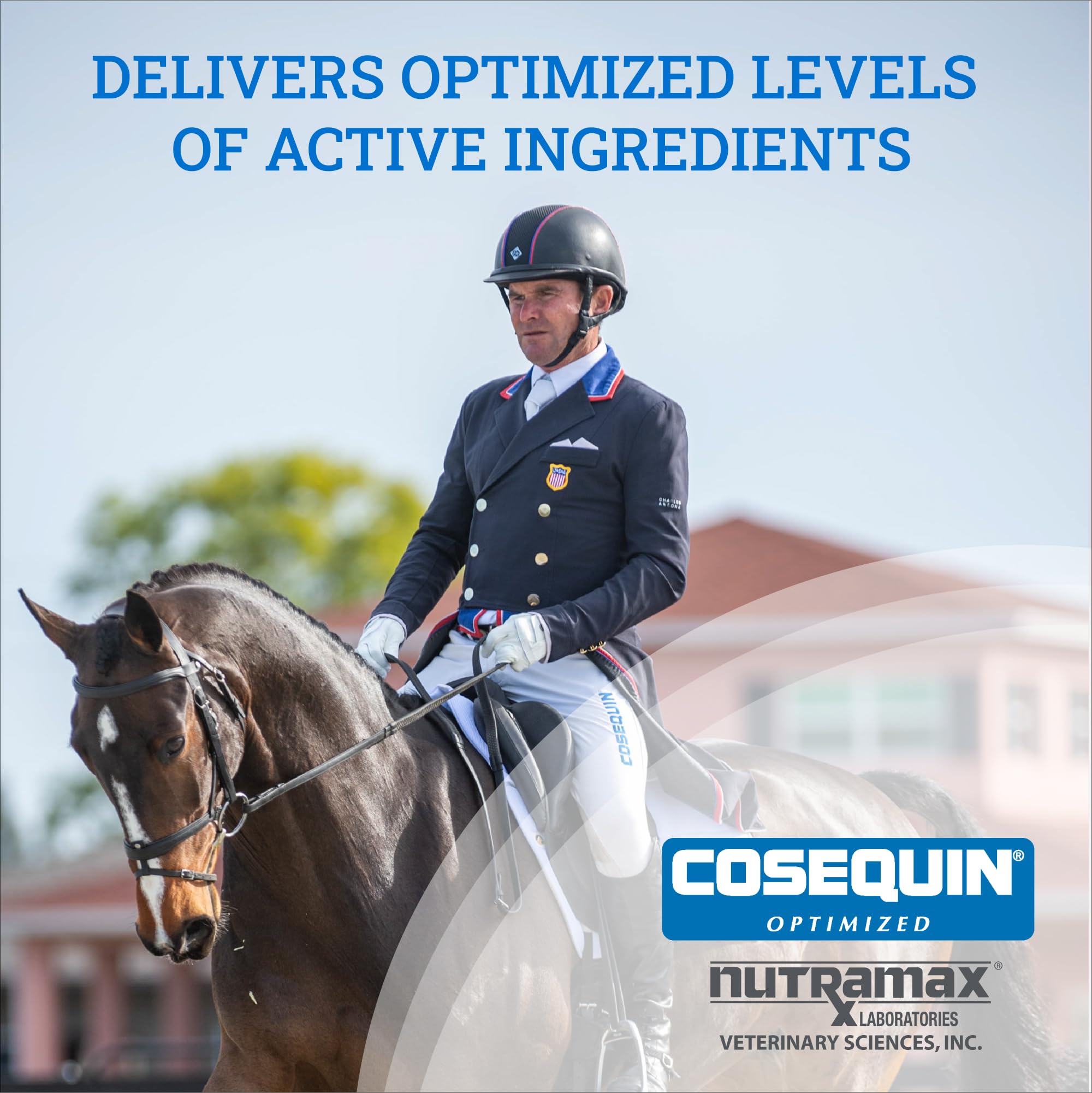Nutramax Cosequin MSM Joint Health Supplement for Horses - Glucosamine & Chondroitin Powder (1400g) | Supports Mobility & Comfort for Active & Senior Horses