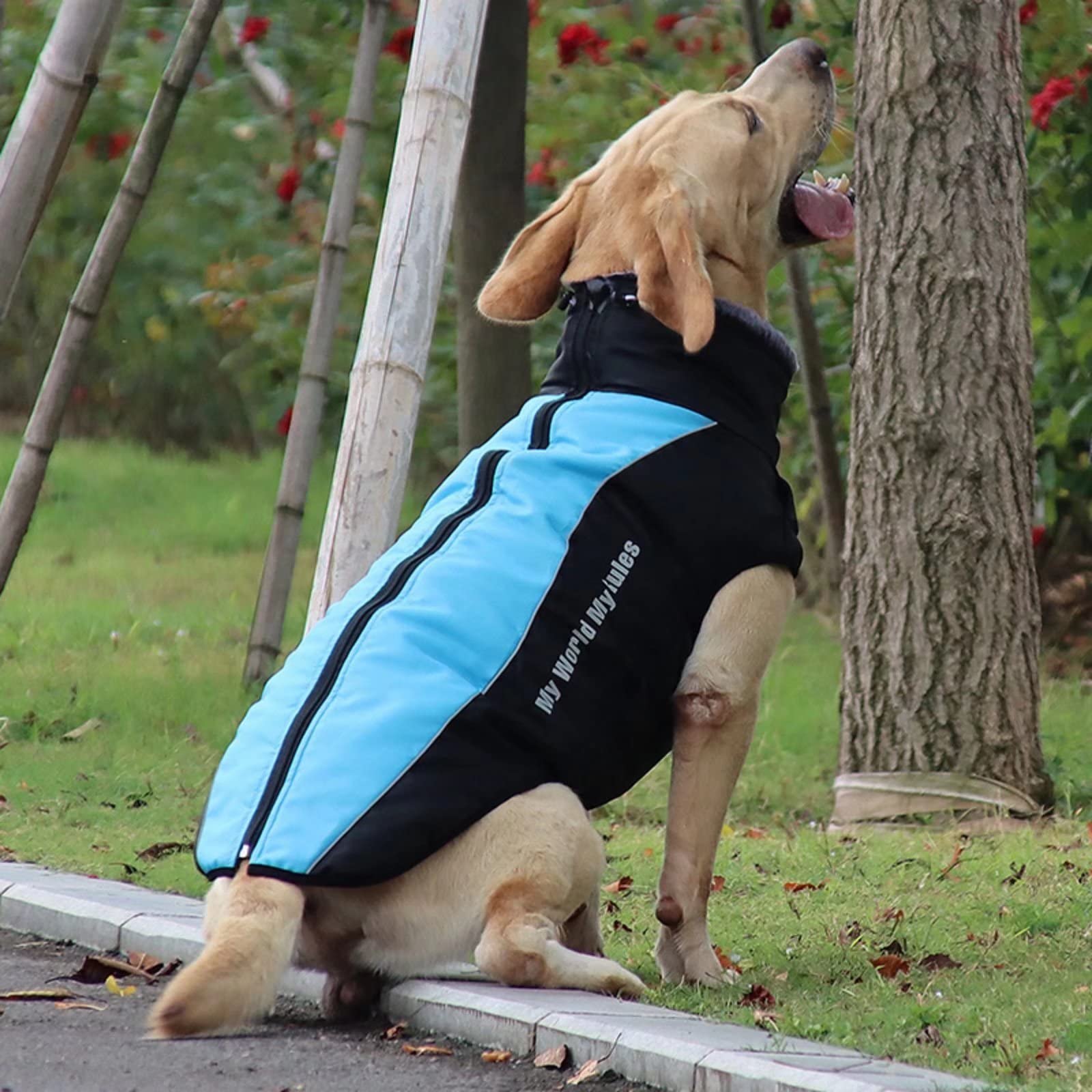 Xqpetlihai Reflective Waterproof Windproof Dog Winter Jacket with Zipper Harness & Furry Collar - Fleece Lined Pet Coat for Medium & Large Dogs (Size 3XL, Blue) - Perfect for Hiking, Camping & Outdoor Winter Adventures