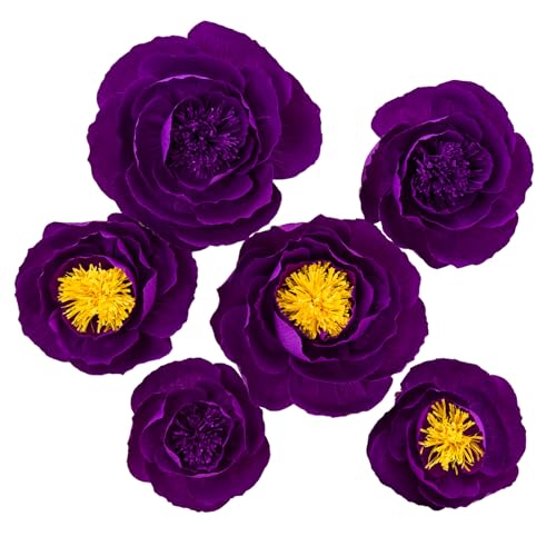 Purple 2;set/6