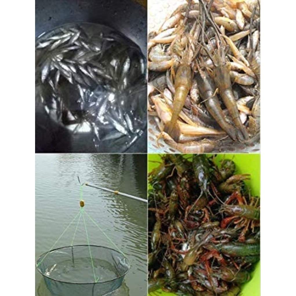 Foldable Fishing Net - Portable Hand Casting Cage for Crabs, Lobsters, Minnows & Fish | Durable & Lightweight for Kayak, Boat & Shore Fishing