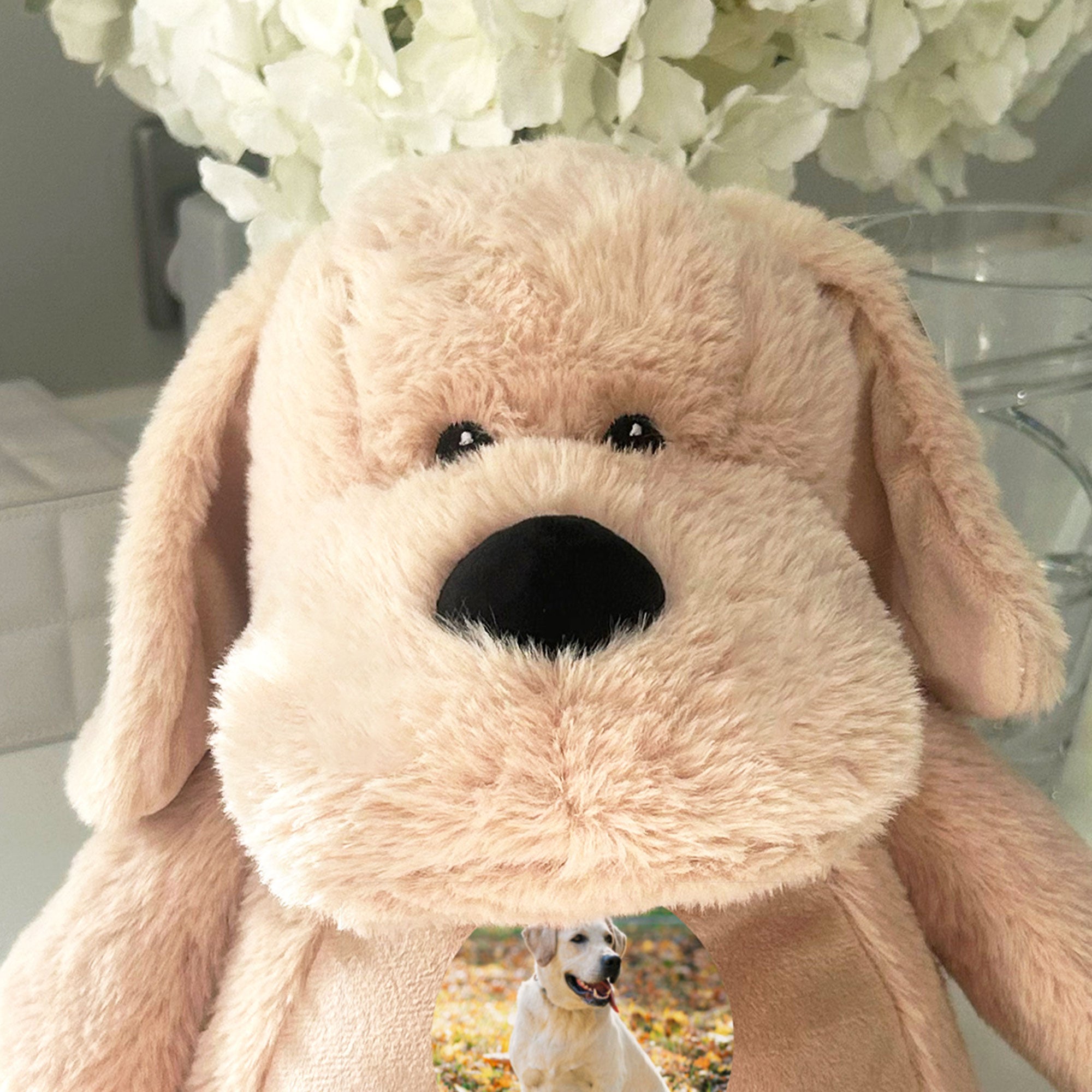 Personalized Dog Memorial Keepsake - Custom Photo Paw Prints Heart Urn for Pet Ashes | Perfect for Pet Loss Remembrance & Memorial Gifts