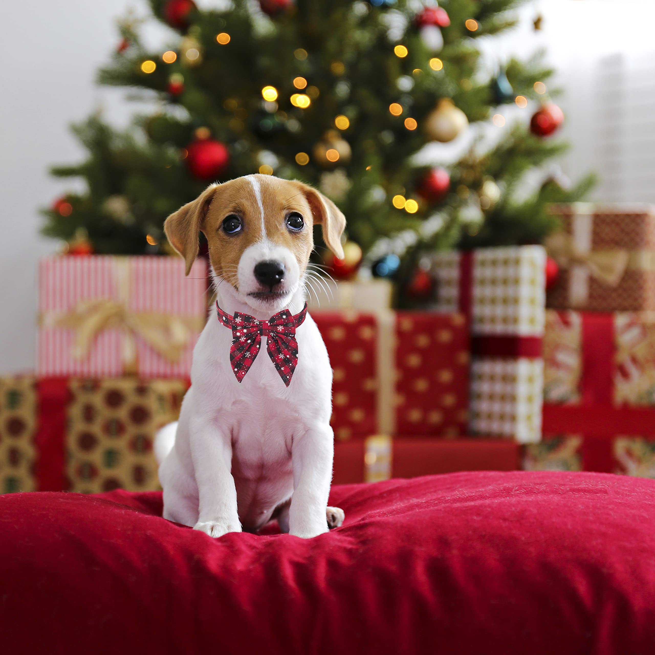 ADOGGYGO Adjustable Christmas Dog Collar with Red Bow - Festive Cotton Bowtie Pet Collar for Small Dogs (Black & Red) - Perfect for Holiday Photos & Christmas Parties