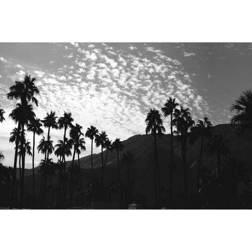 Ferrania P30 Black and White 35mm Film - 80 ISO, 36 Exposures Roll | Perfect for Street Photography & Vintage Film Cameras