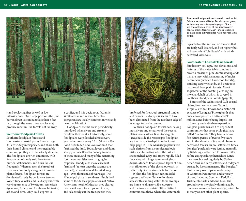 National Wildlife Federation Field Guide to Trees of North America - Comprehensive Tree Identification Book for Hikers, Campers & Nature Enthusiasts