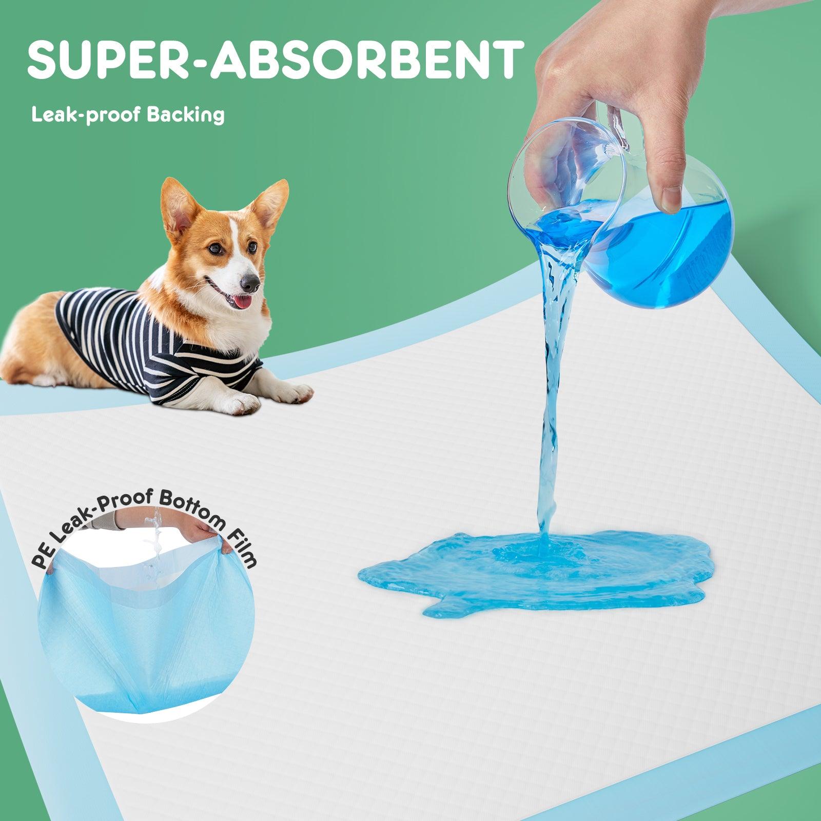 Premium Disposable Dog Training Pads - 22
