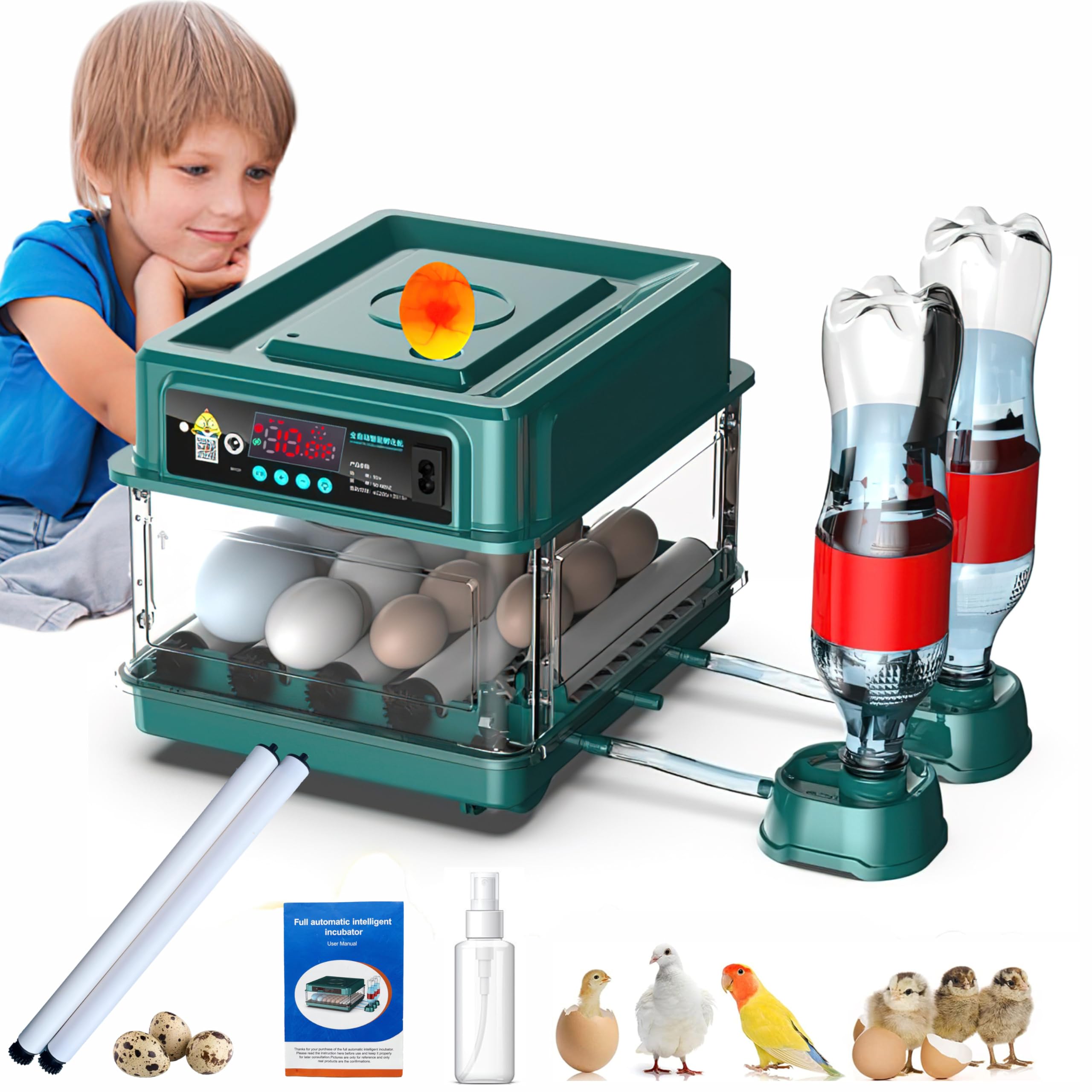 Automatic Egg Incubator for 24-60 Eggs - Intelligent Poultry Hatching Machine for Chicken, Duck, Goose, Quail & Bird Eggs | Perfect for Home Farms, Backyard Poultry & Small-Scale Hatcheries (15EGGF)