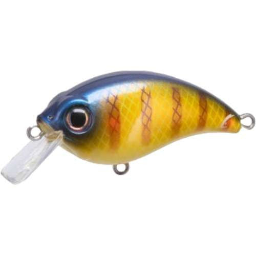 Bluegill