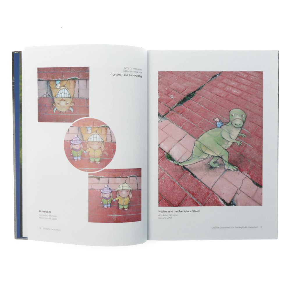 Chance Encounters: David Zinn's Temporary Street Art Book - Urban Art Collection for Artists & Designers | Perfect for Creative Inspiration & Home Decor