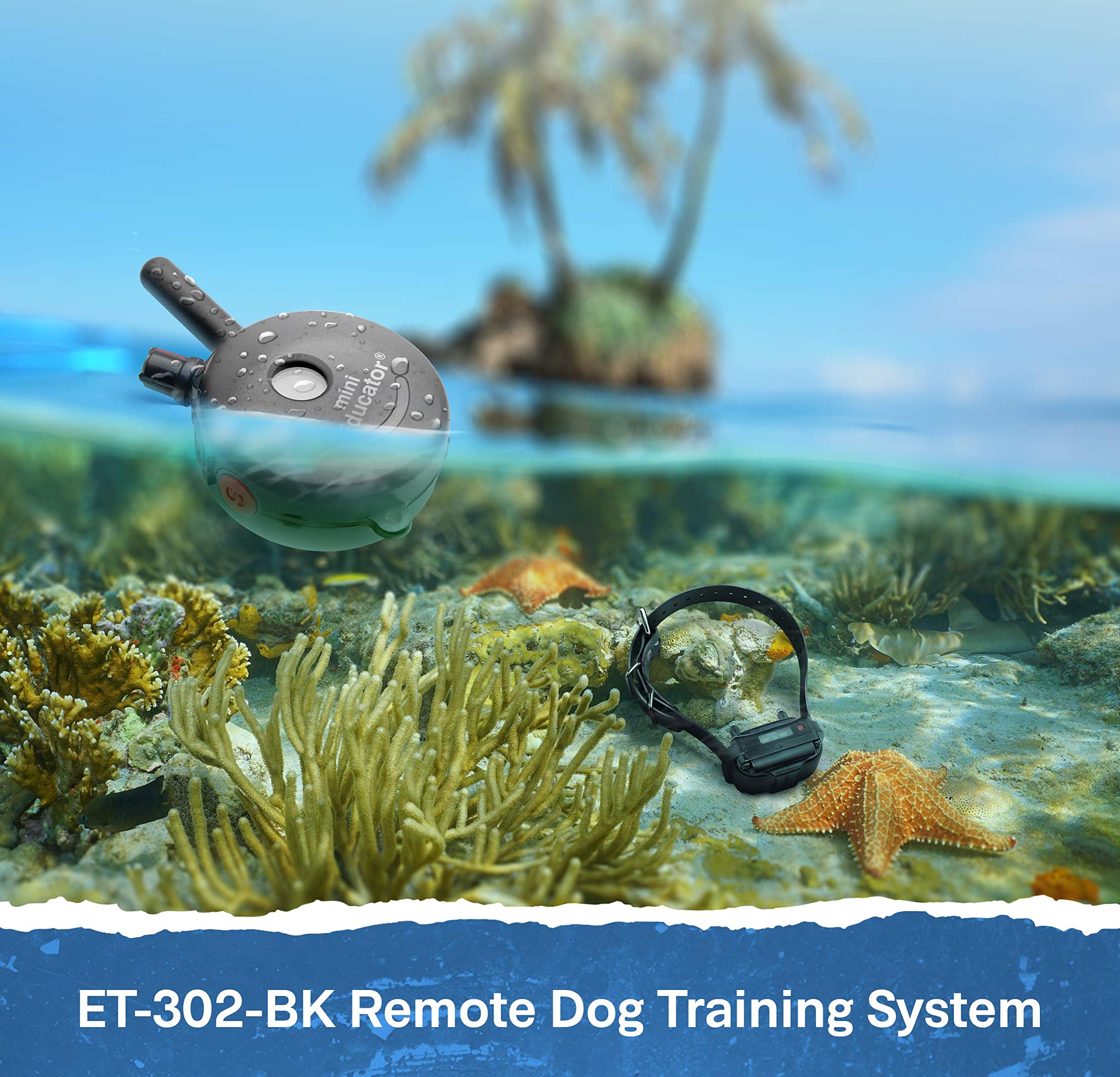 Educator ET-302 BK - 1/2 Mile Range Rechargeable Dog Training Collar with Remote for Small, Medium & Large Dogs | Waterproof Shock Collar with Electric, Vibration & Tone Modes | Perfect for Obedience Training, Behavior Correction & Off-Leash Control