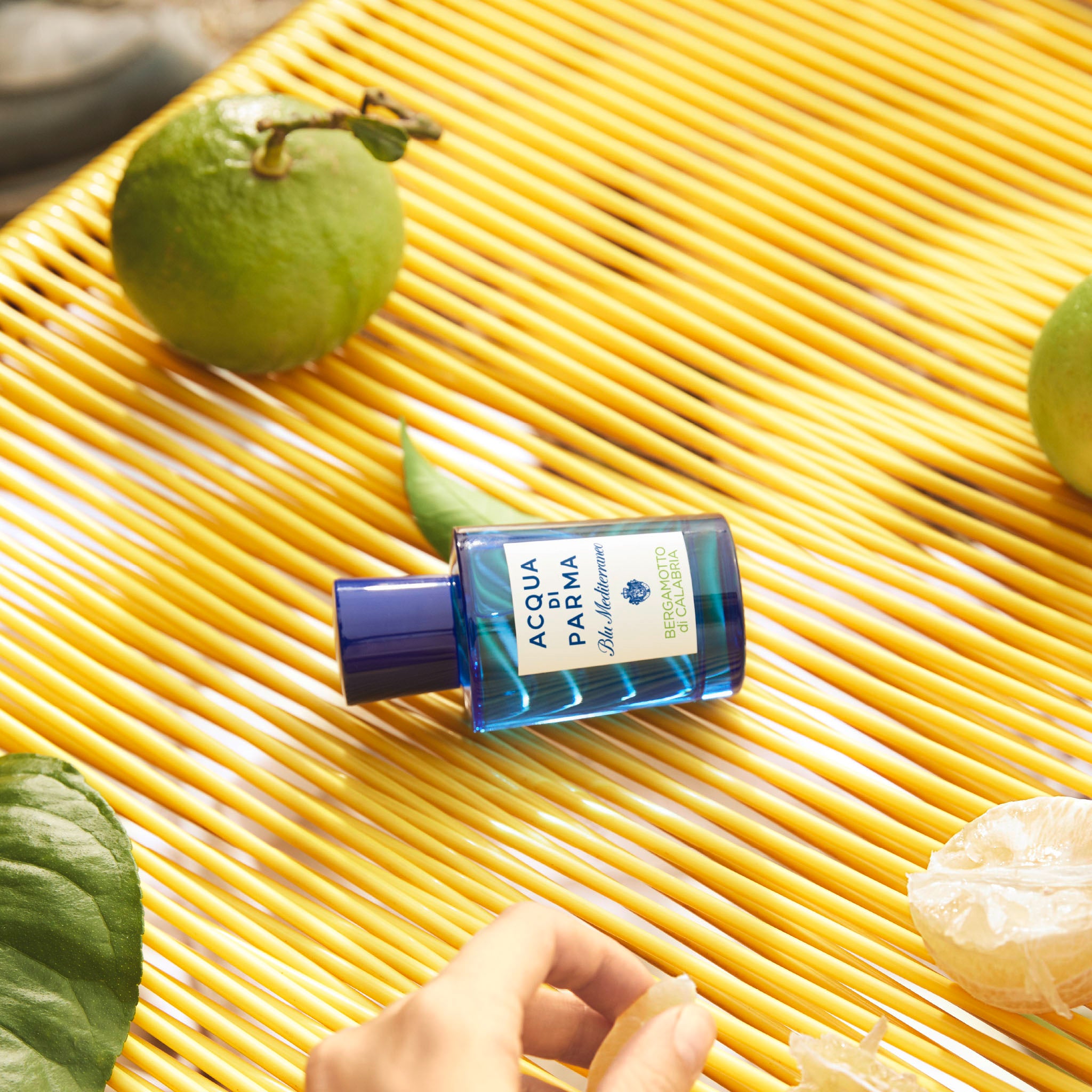 Blu Mediterraneo Bergamotto Di Calabria Eau de Toilette Spray - Refreshing Citrus Cologne for Men & Women | Perfect for Daily Wear, Office & Special Occasions
