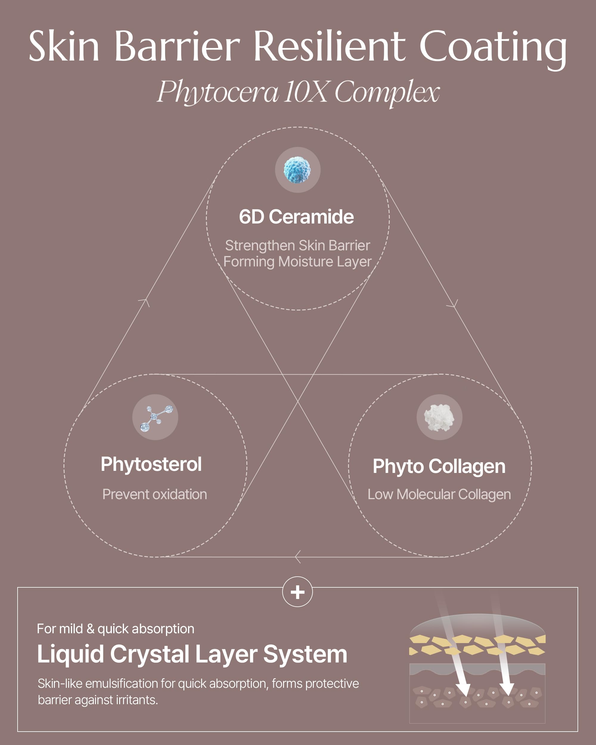 Phytocera Pro Antioxidant 10X Ampoule - Ceramide Lifting & Elasticity Anti-Aging Face Serum with Collagen & Hyaluronic Acid | Vegan, Dermatologist Tested (1.69 fl.oz) - Perfect for Daily Skincare Routine & Nighttime Hydration