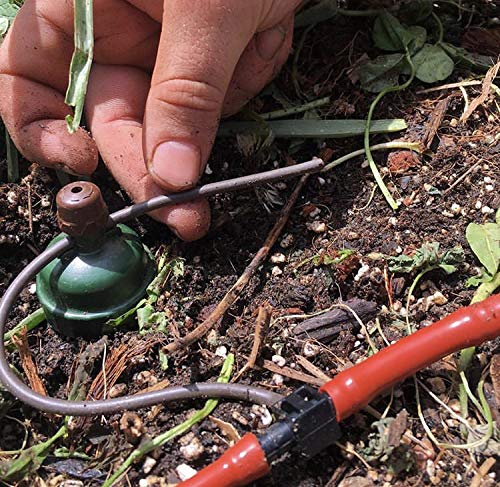 Blumat Automatic Drip Irrigation System for 8 Plants with Pressure Reducer - No Electricity or Batteries Needed - Perfect for Garden, Patio, Hanging Baskets, Raised Beds & Greenhouses | Indoor & Outdoor Plant Watering Solution